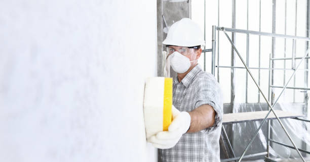 Best Mold Prevention Services  in USA